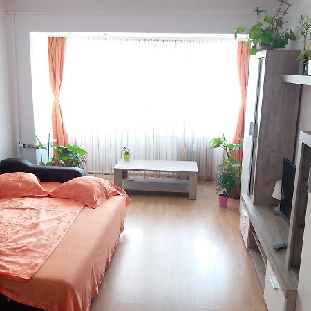 Apartament Anca Apartment คอนสตันซา ภายนอก รูปภาพ