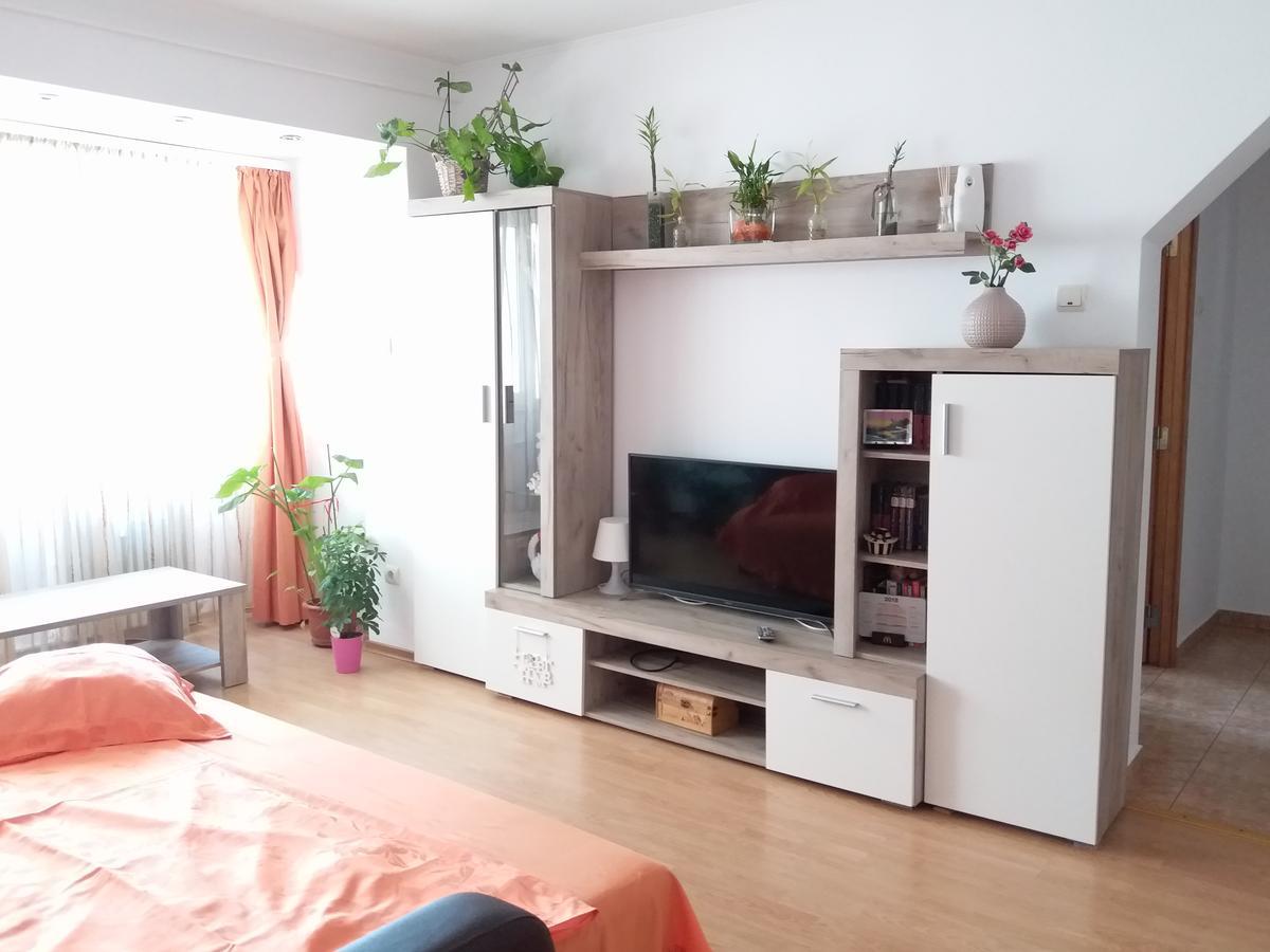 Apartament Anca Apartment คอนสตันซา ภายนอก รูปภาพ