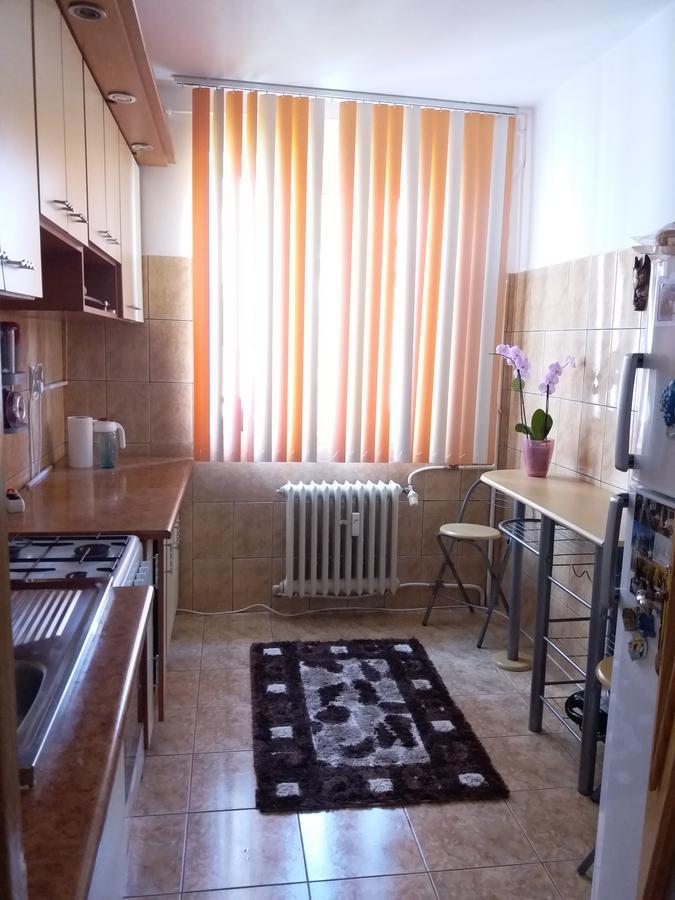 Apartament Anca Apartment คอนสตันซา ภายนอก รูปภาพ