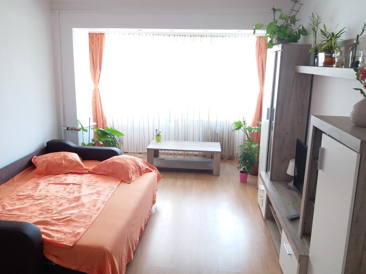 Apartament Anca Apartment คอนสตันซา ภายนอก รูปภาพ
